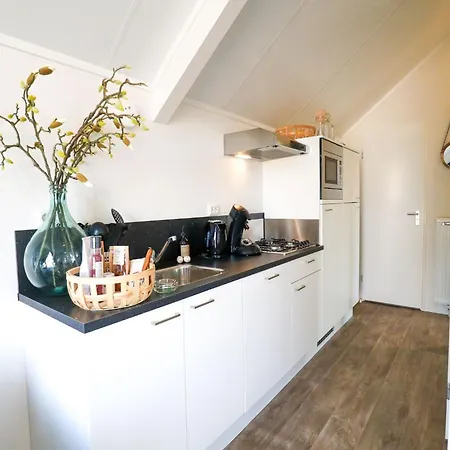 Modern With Dishwasher, Near The Ijssel Vakantiehuis Olburgen